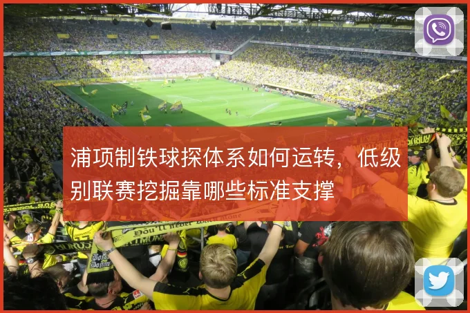 浦项制铁球探体系如何运转,低级别联赛挖掘靠哪些标准支撑