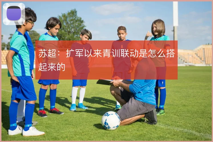苏超：扩军以来青训联动是怎么搭起来的